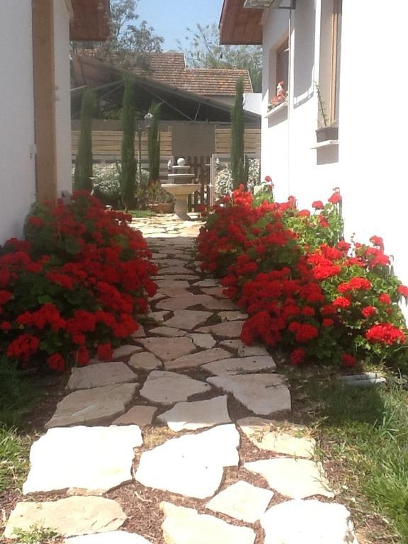 Bellatroun Chalet Kefar Bin-Nun Exterior foto